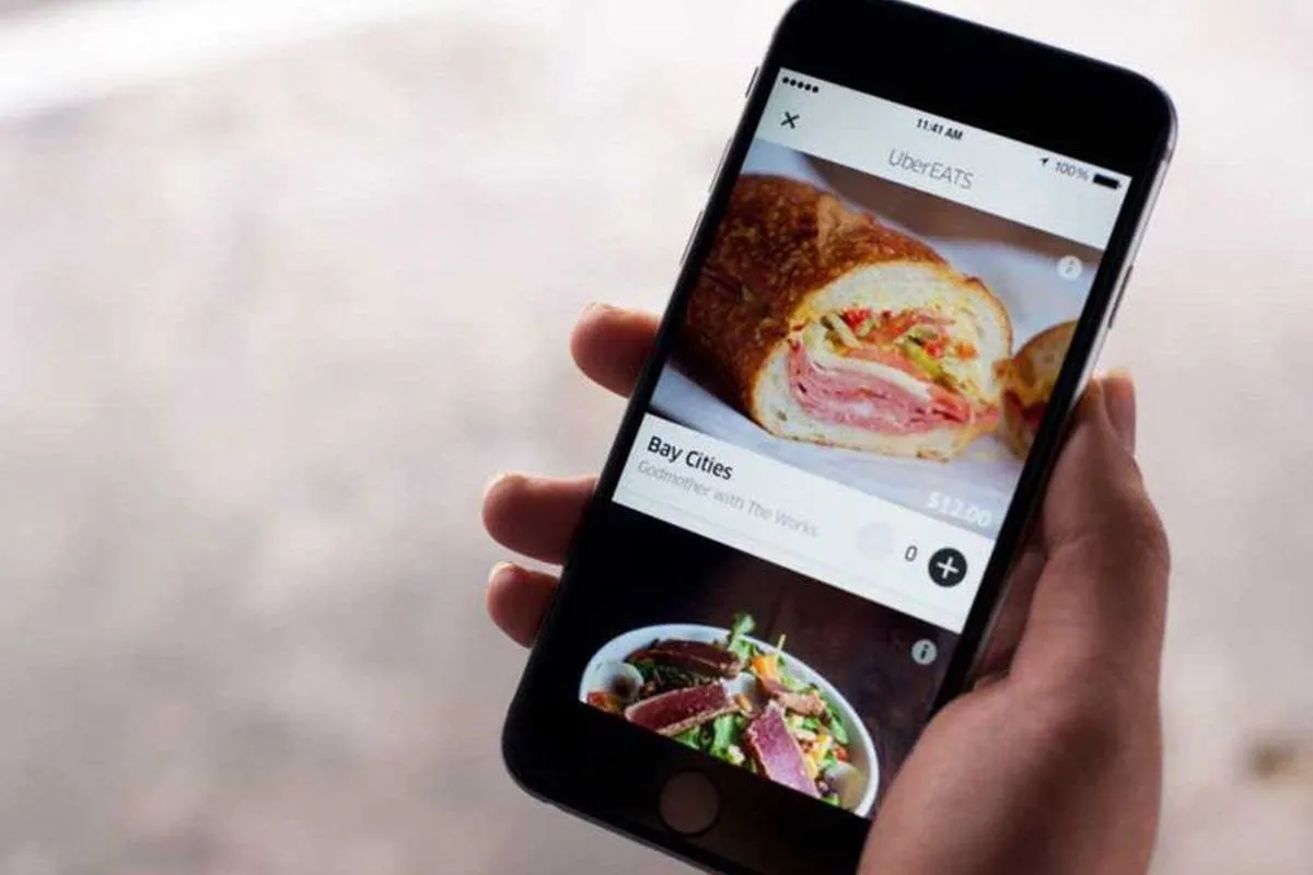 A customer accessing the application to order food online