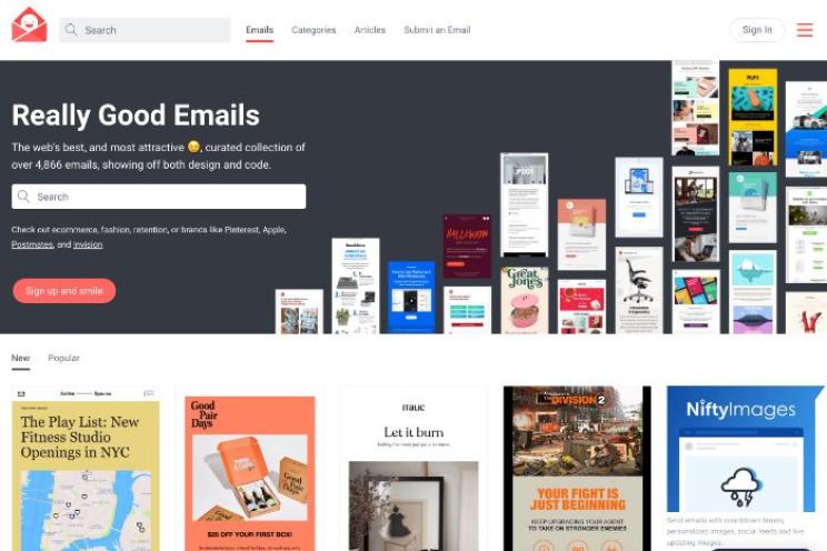 Excellent and successful newsletters 